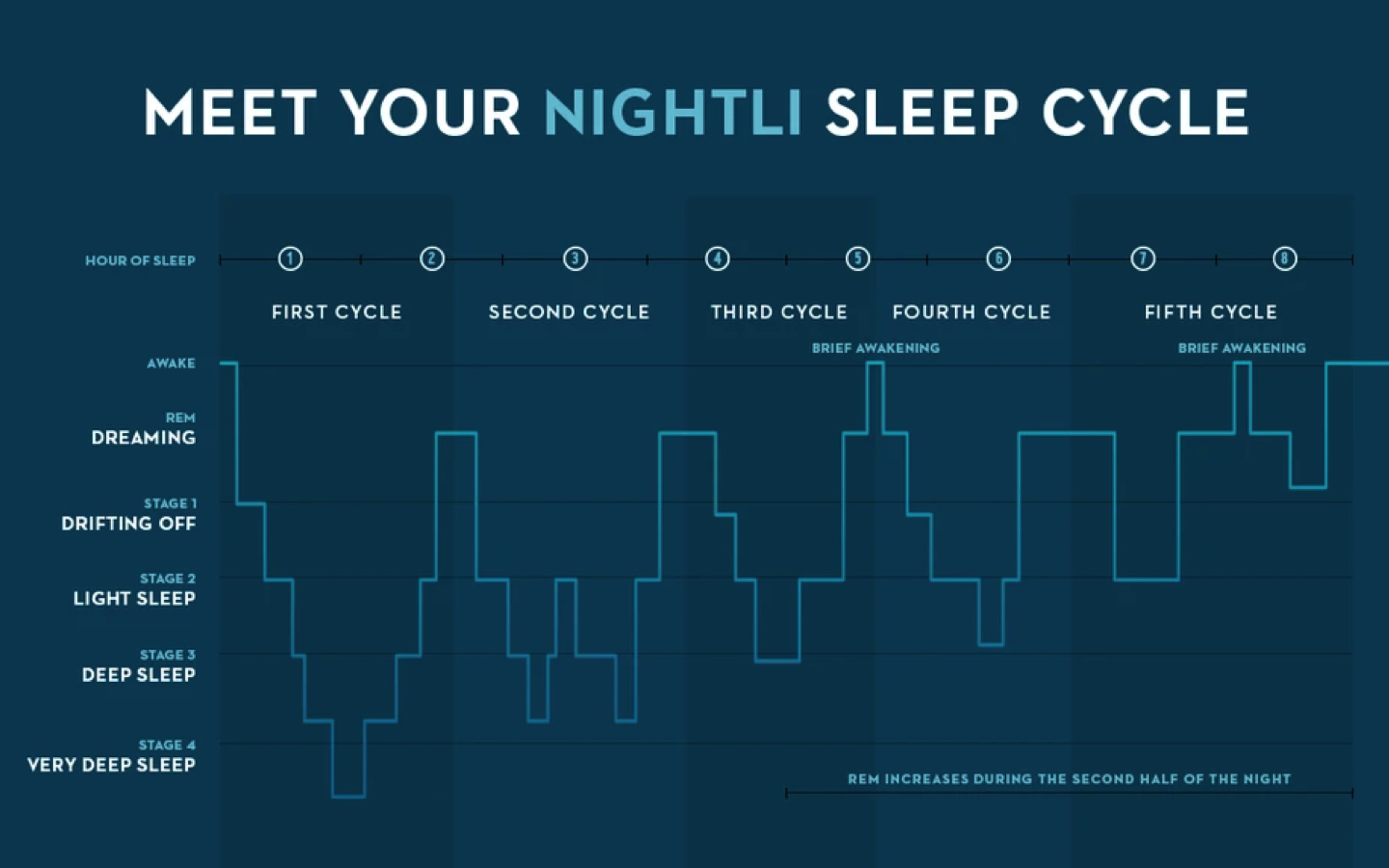 Sleep Cycle. Sleep phases. Stages of Sleep. 4 Sleep Cycles. Different stages